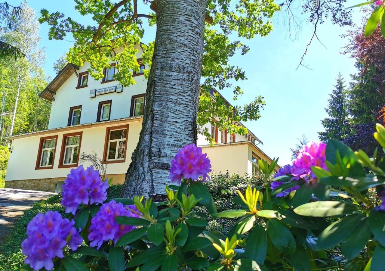 Pension Haus Anna Altenberg ภายนอก รูปภาพ